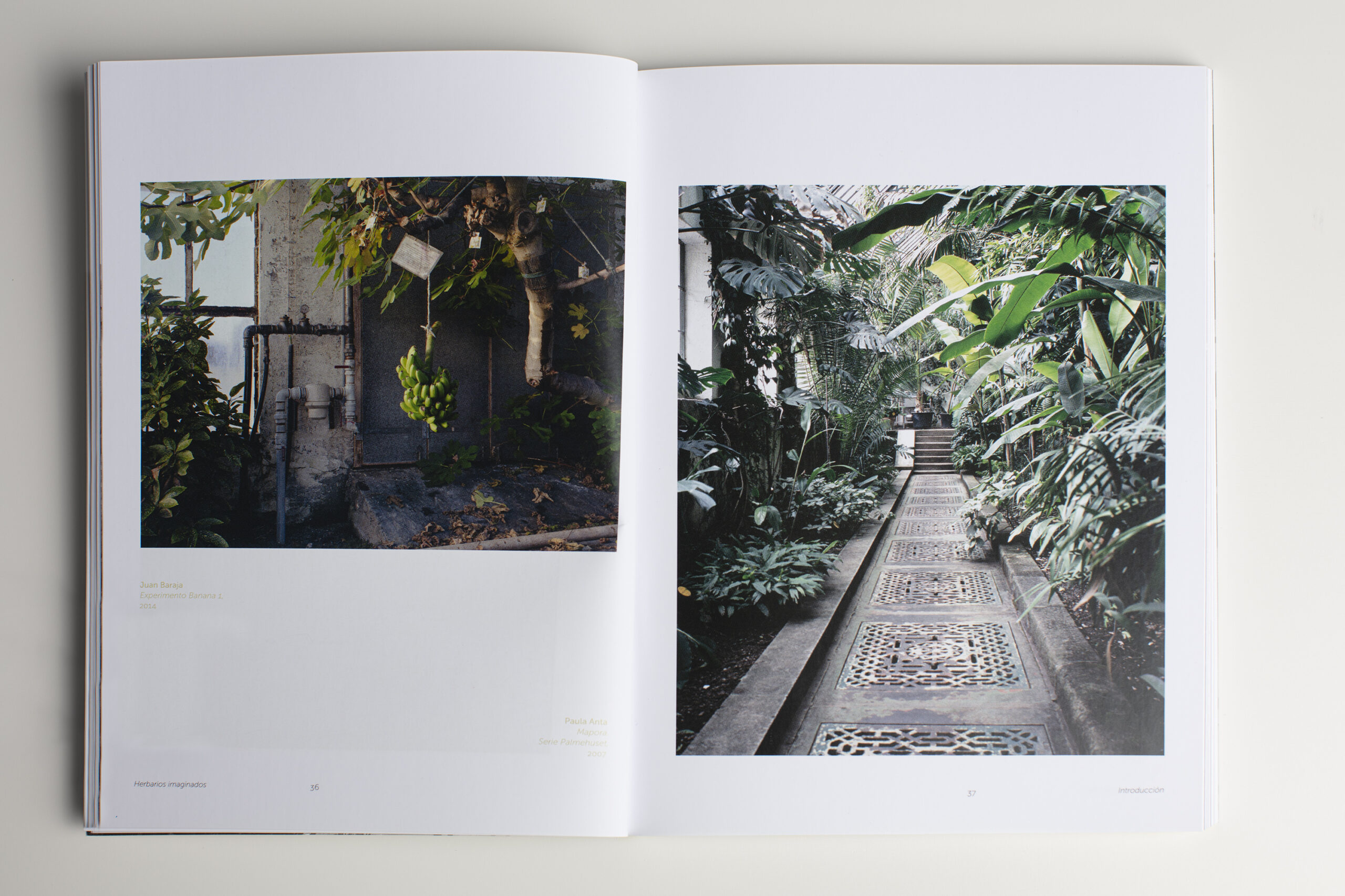 libro Herbarios imaginados doble página fotos - Paula Anta